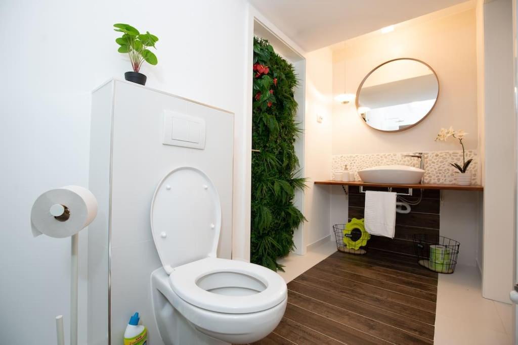 E-House Apartment Brasov Noua Exteriör bild